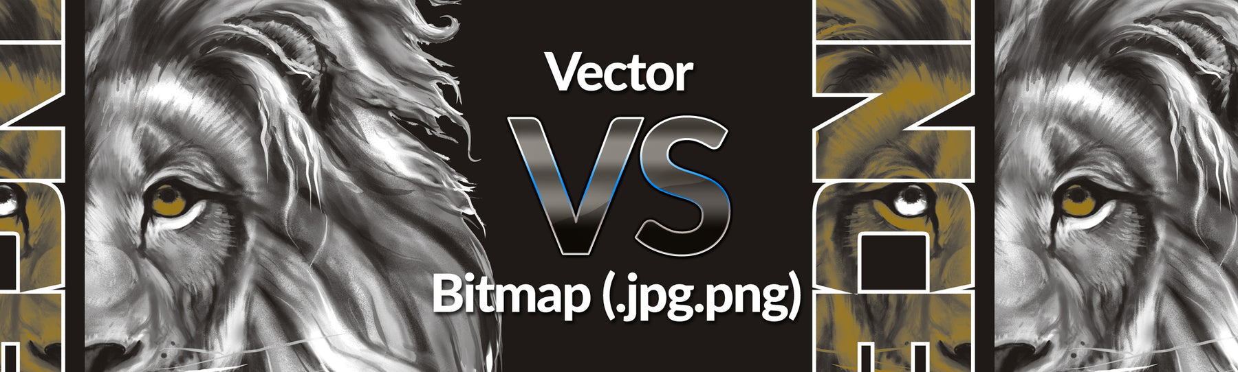 What is a Vector image?