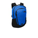 Monster Blue/ TNF Black The North Face Connector Backpack